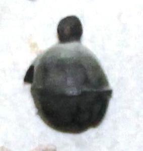 ..