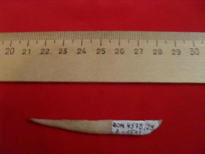 ..